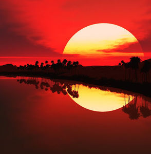 Meet your Posher, Shawneh